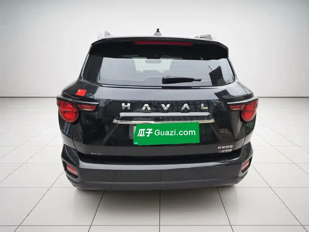 Haval Big Dog PLUS New Energy — миниатюра 3