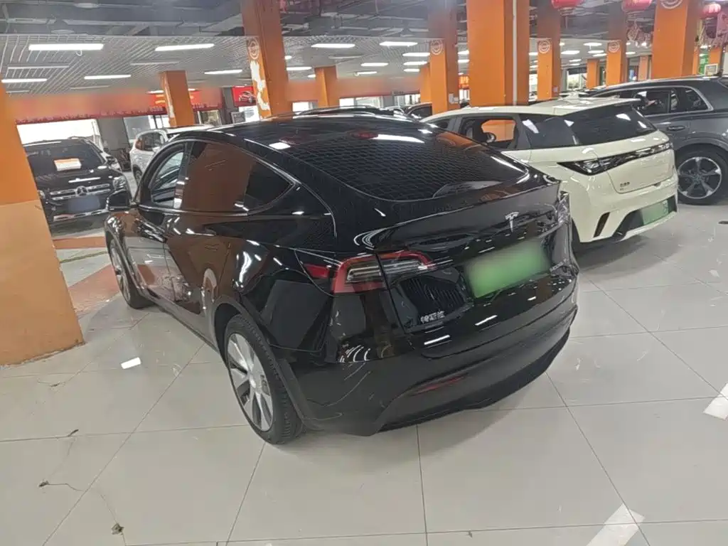 Tesla Model Y — миниатюра 5