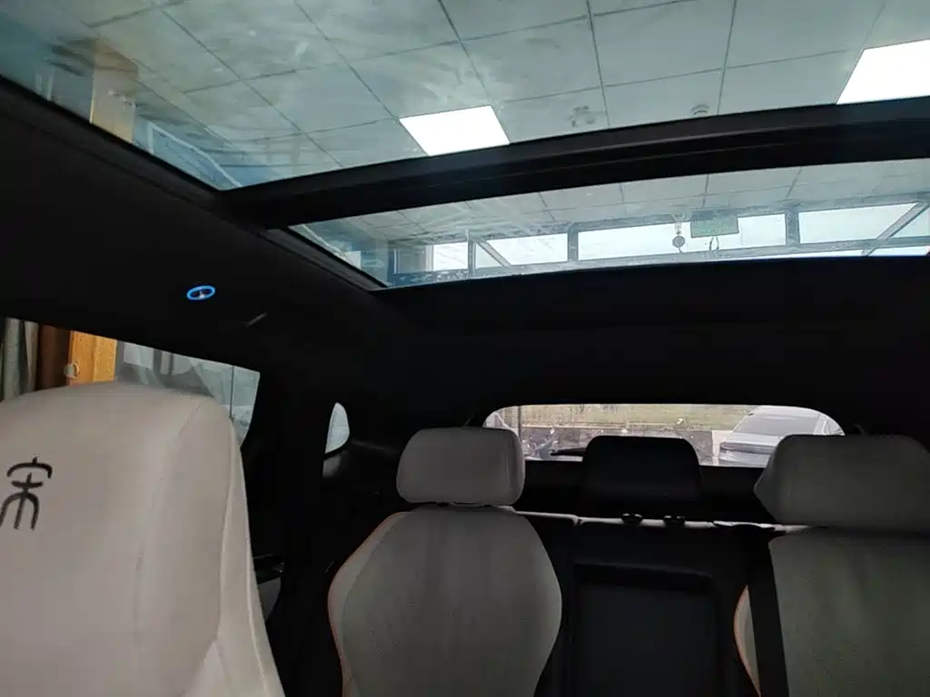 BYD PLUS New Energy — миниатюра 18