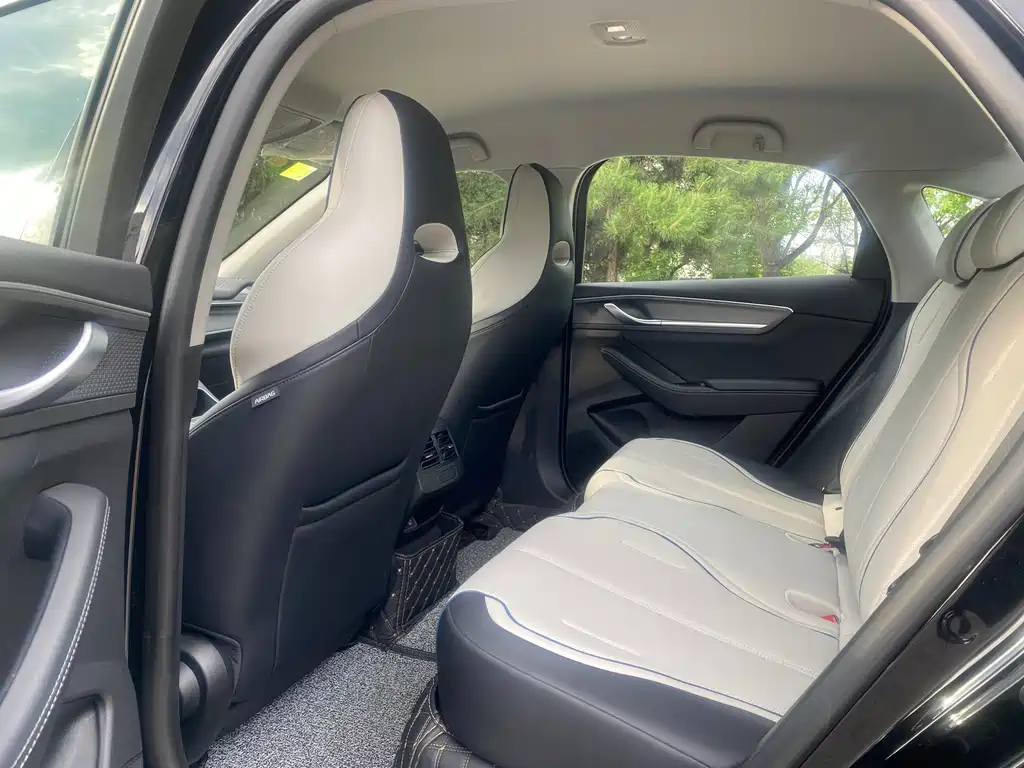 BYD Destroyer 05 2024 DM-i 55KM Luxury