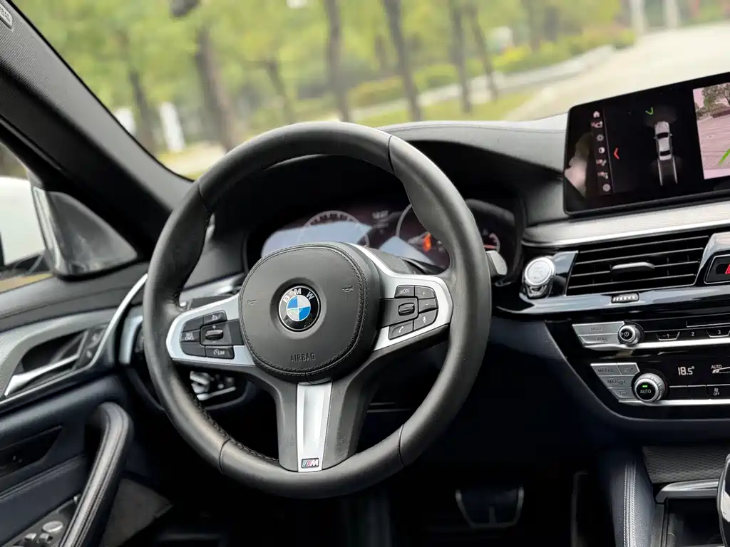 BMW 5 Series (Import) — миниатюра 7