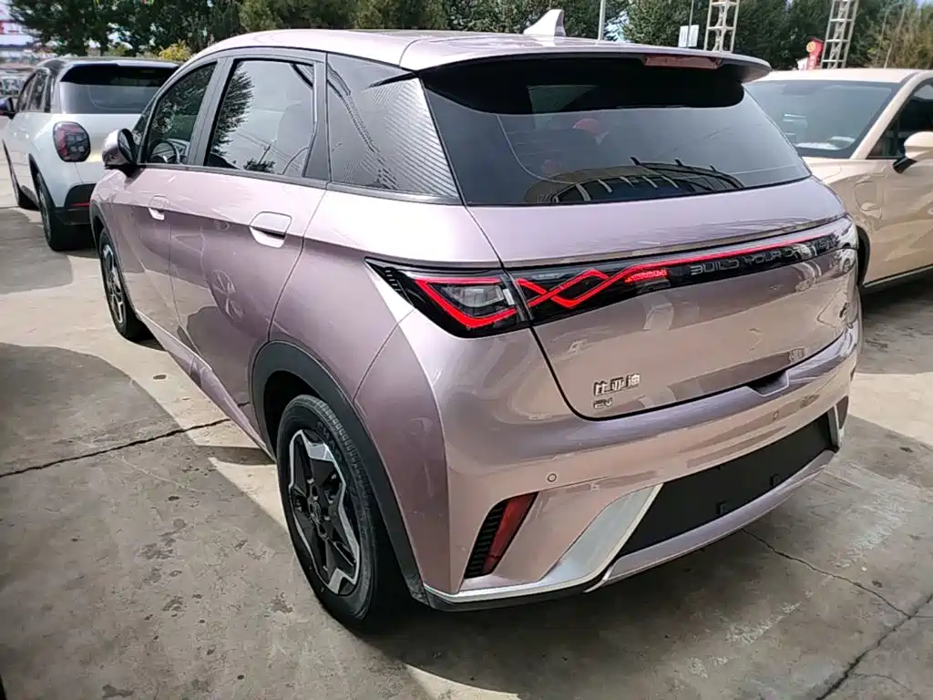 BYD Dolphin — миниатюра 5