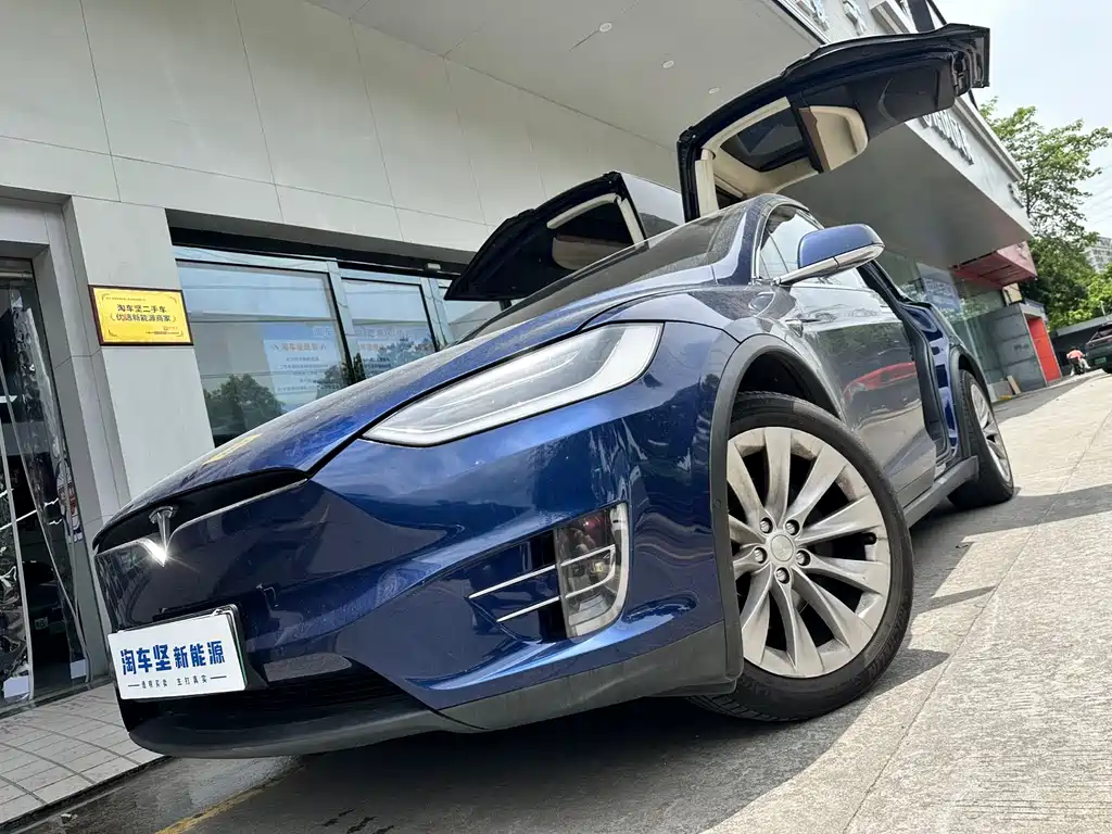 Tesla Model X 2017 Model X 100D