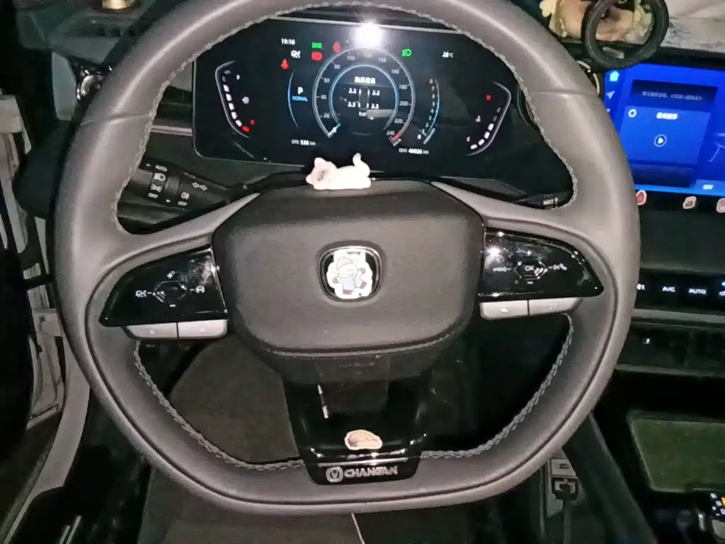 Changan Ruicheng PLUS — миниатюра 6