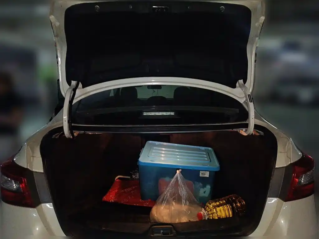 Nissan Sylphy — миниатюра 20