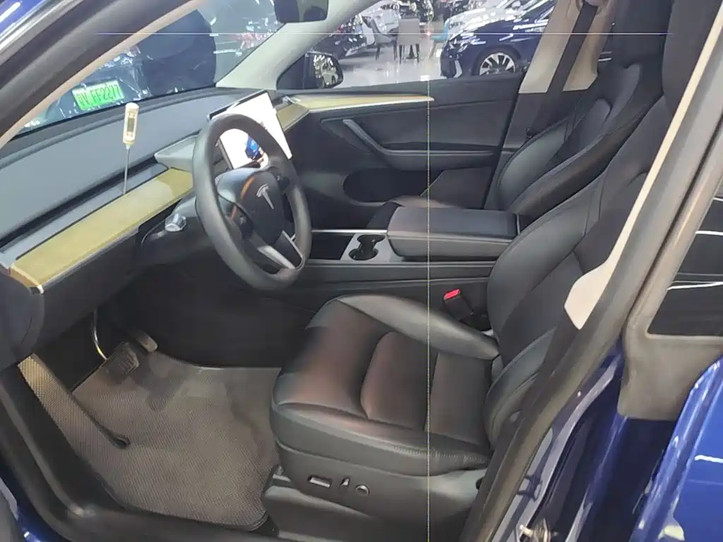 Tesla Model Y — миниатюра 15
