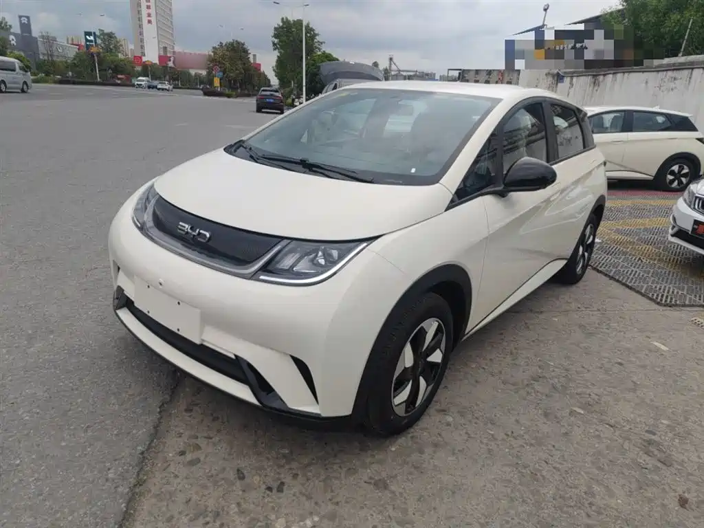 Byd Dolphin 2026
