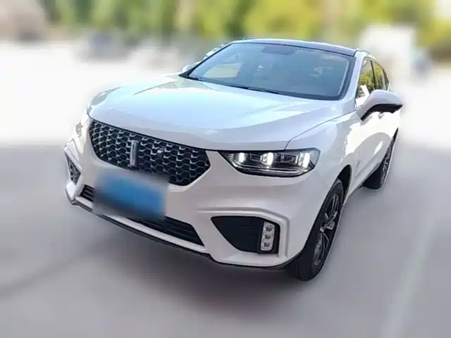 2020 Wey VV5