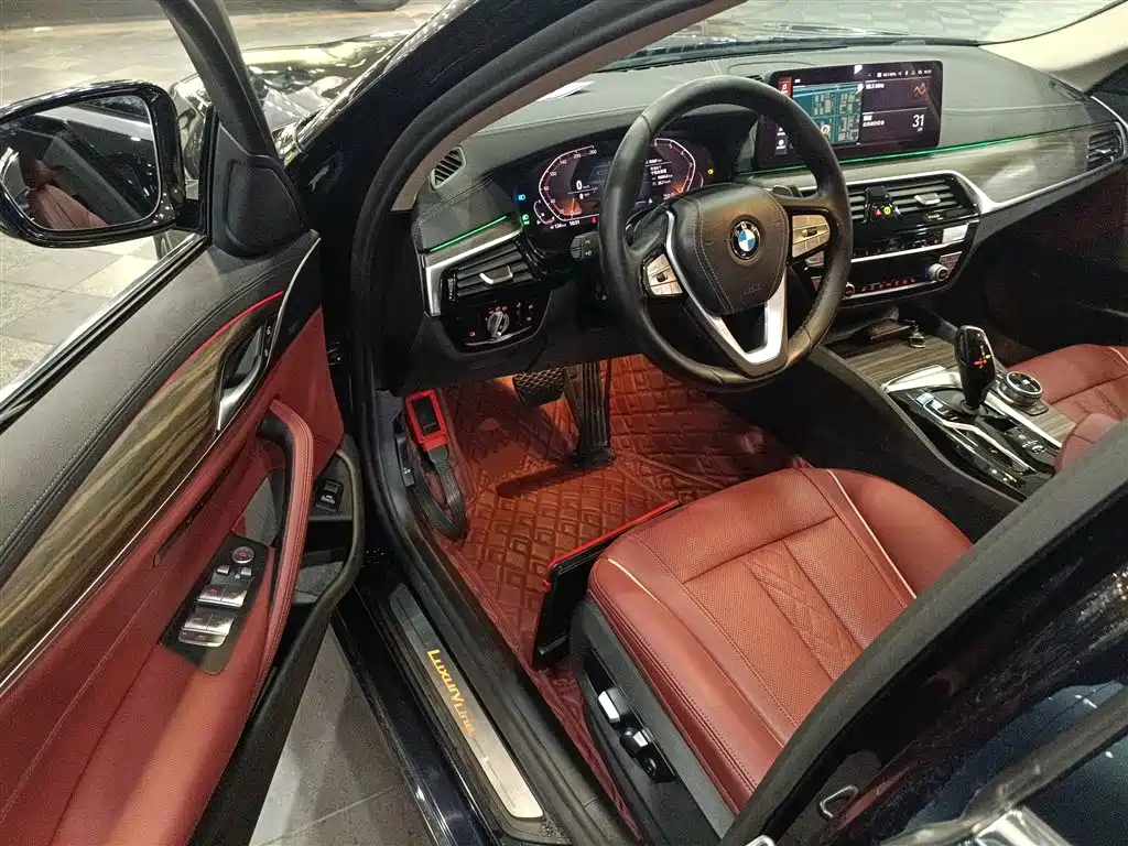 BMW 5 Series 5 2021 530Li Lead Luxury