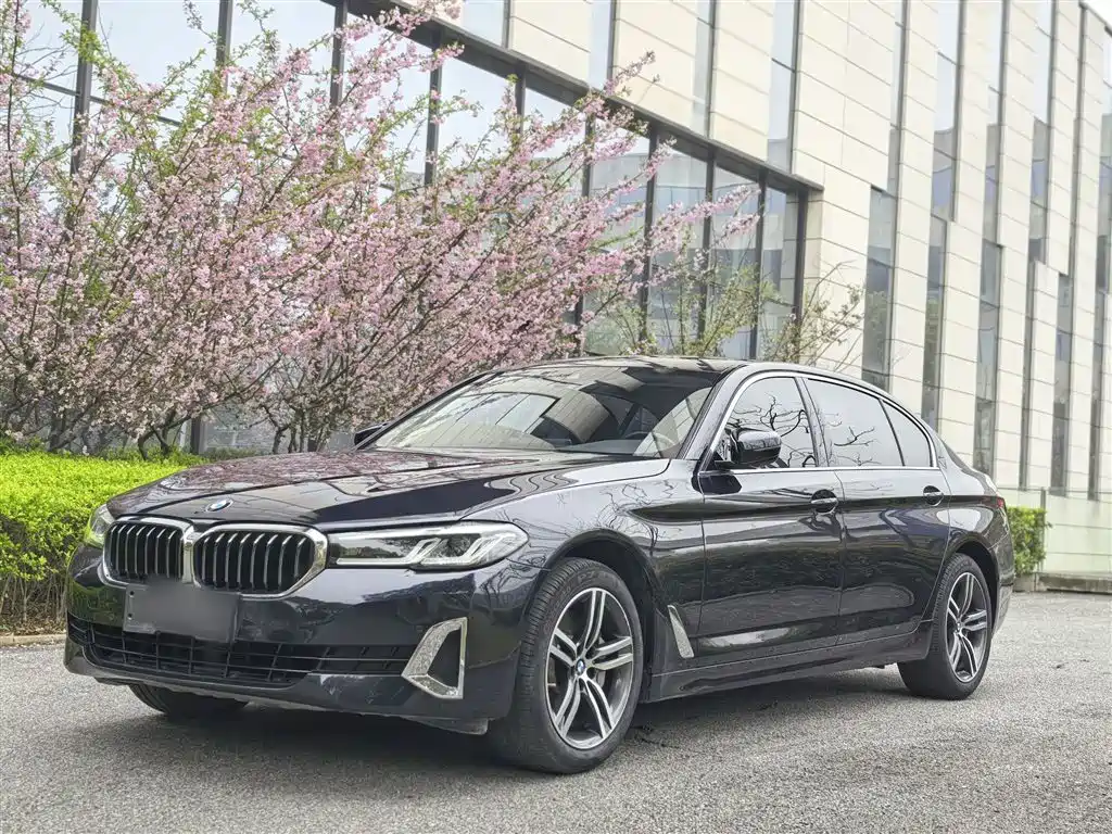 BMW 5 Series 5 2021 530Li Lead Luxury