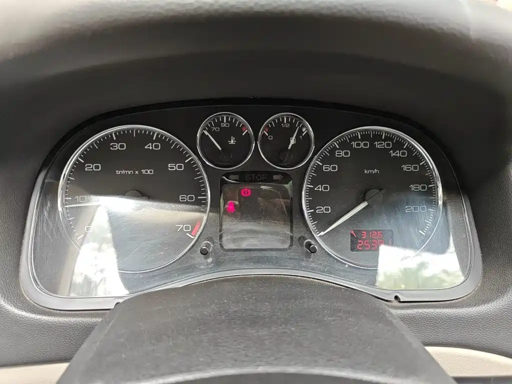 Peugeot 307 — миниатюра 7