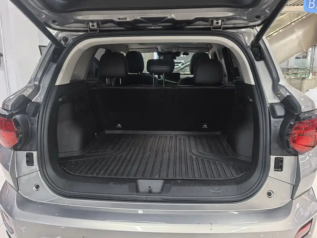 Haval Big Dog PLUS — миниатюра 13