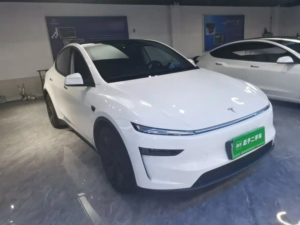 Tesla Model Y — миниатюра 4