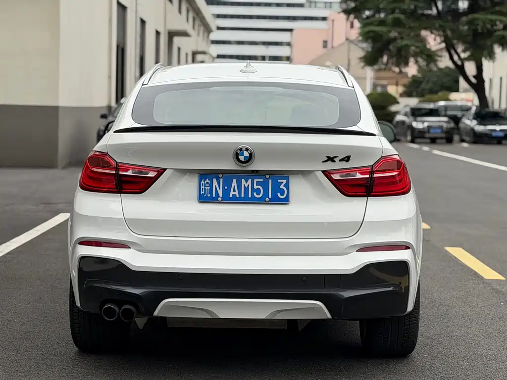 BMW X4 — миниатюра 4