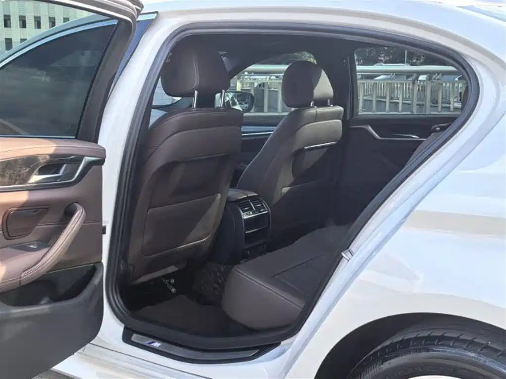 BMW 5 Series 5 2020 525Li M Sport