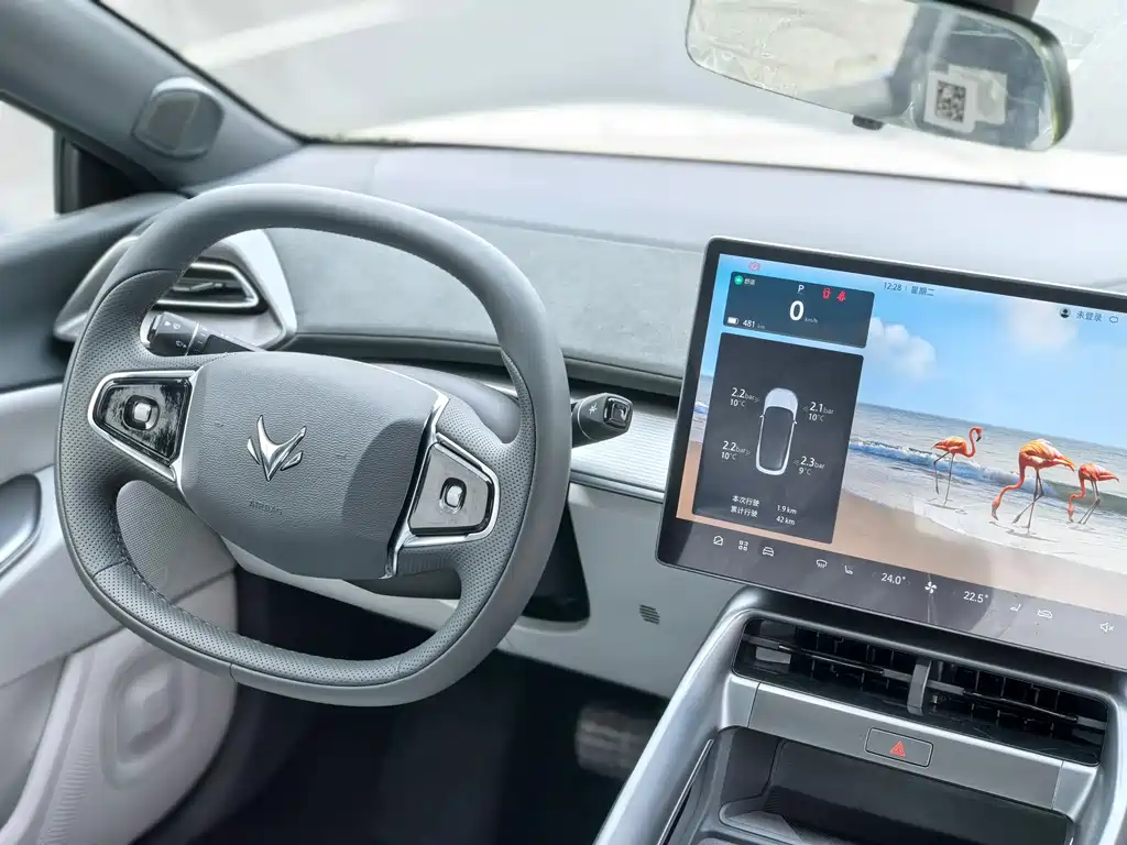 ARCFOX EXTREME FOX POLAR FOX ALPHA S5