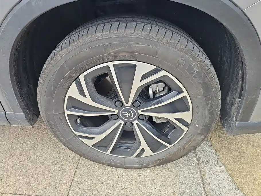 BYD Pro New Energy — миниатюра 6