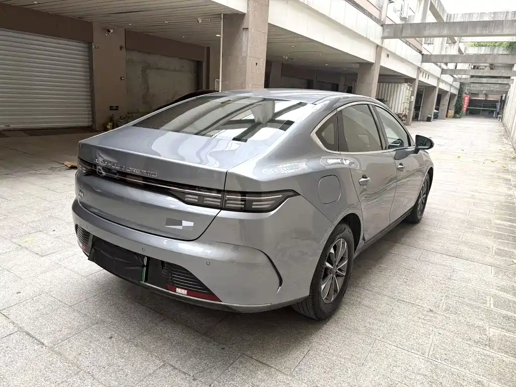 BYD Destroyer 05 2024 DM-i 55KM Luxury
