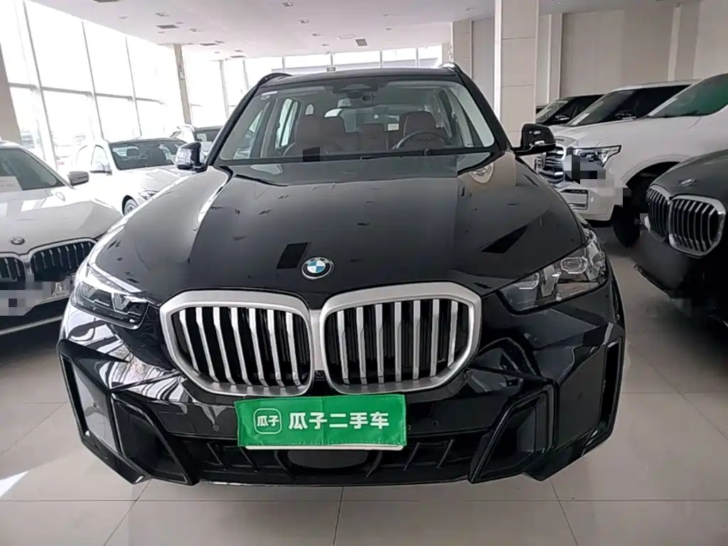 BMW X5 — миниатюра 3