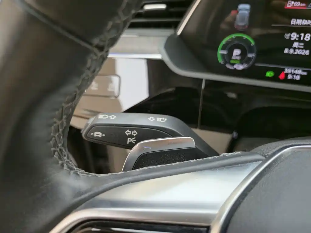 Audi e-tron (Import) — миниатюра 9