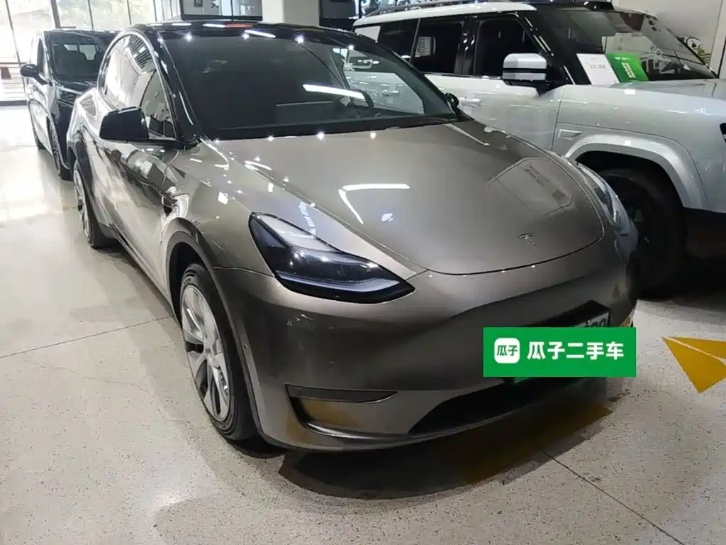 Tesla Model Y — миниатюра 4