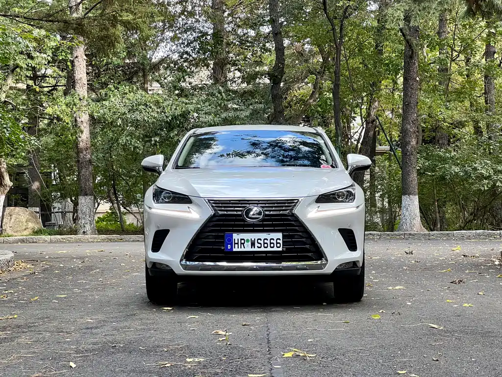 Lexus NX — миниатюра 4
