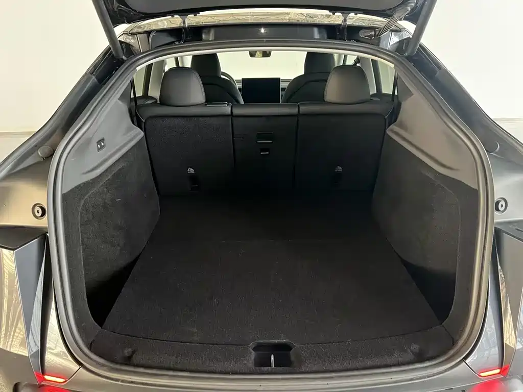 Tesla Model Y — миниатюра 31