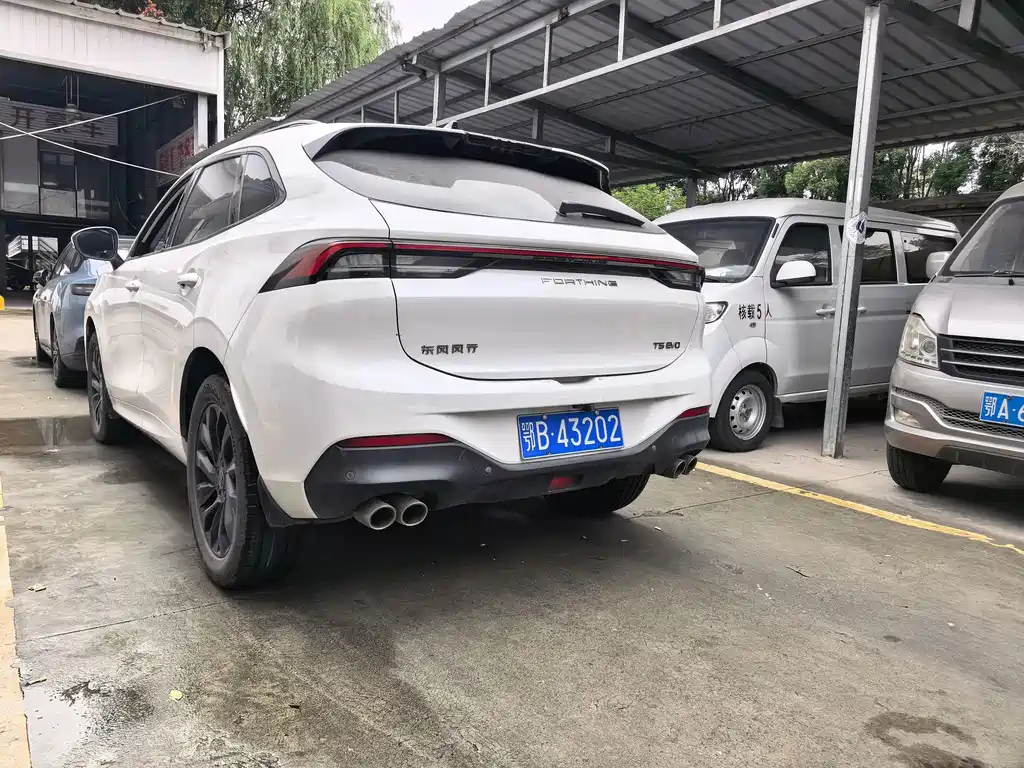 Fengxing Fengxing T5 EVO — миниатюра 11