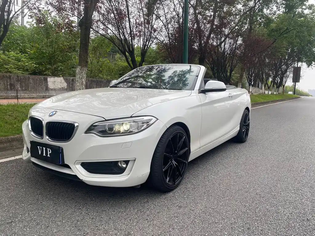 BMW 2 Series (Import)