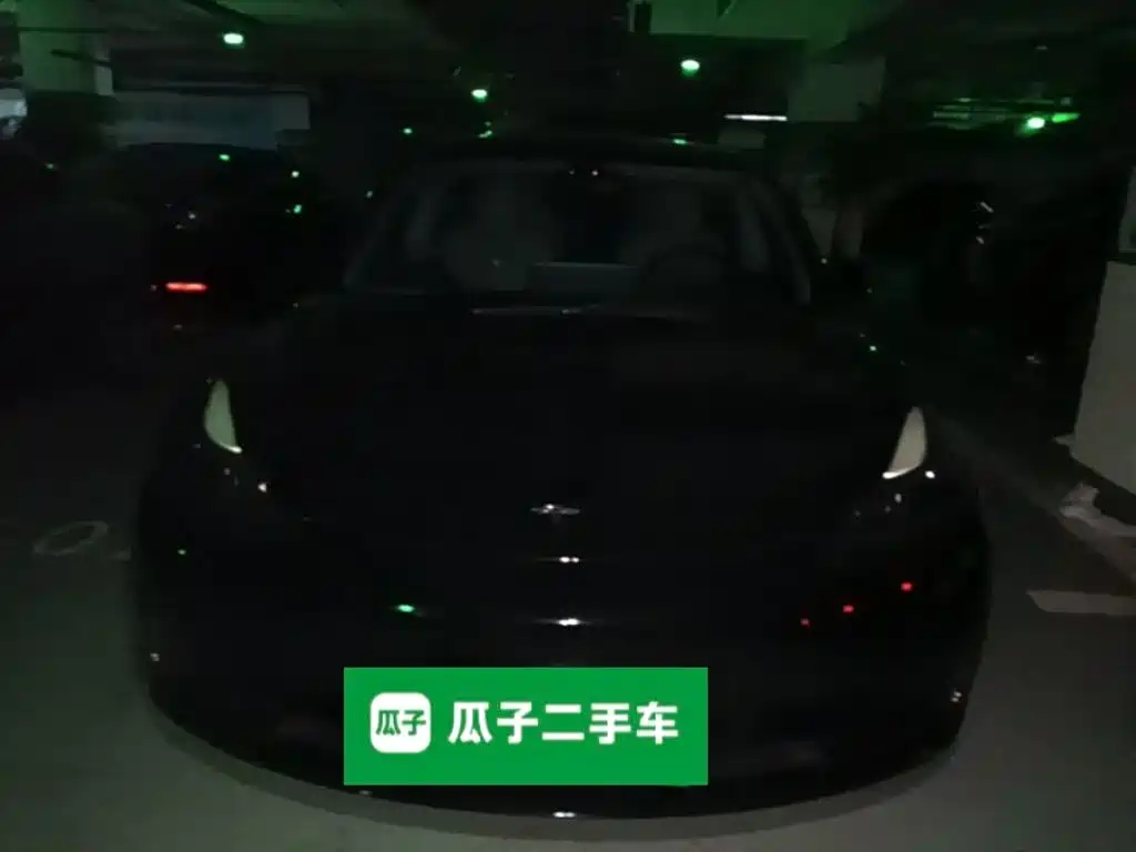 Tesla Model 3 — миниатюра 3