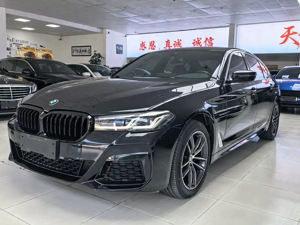 BMW 5 Series — миниатюра 2