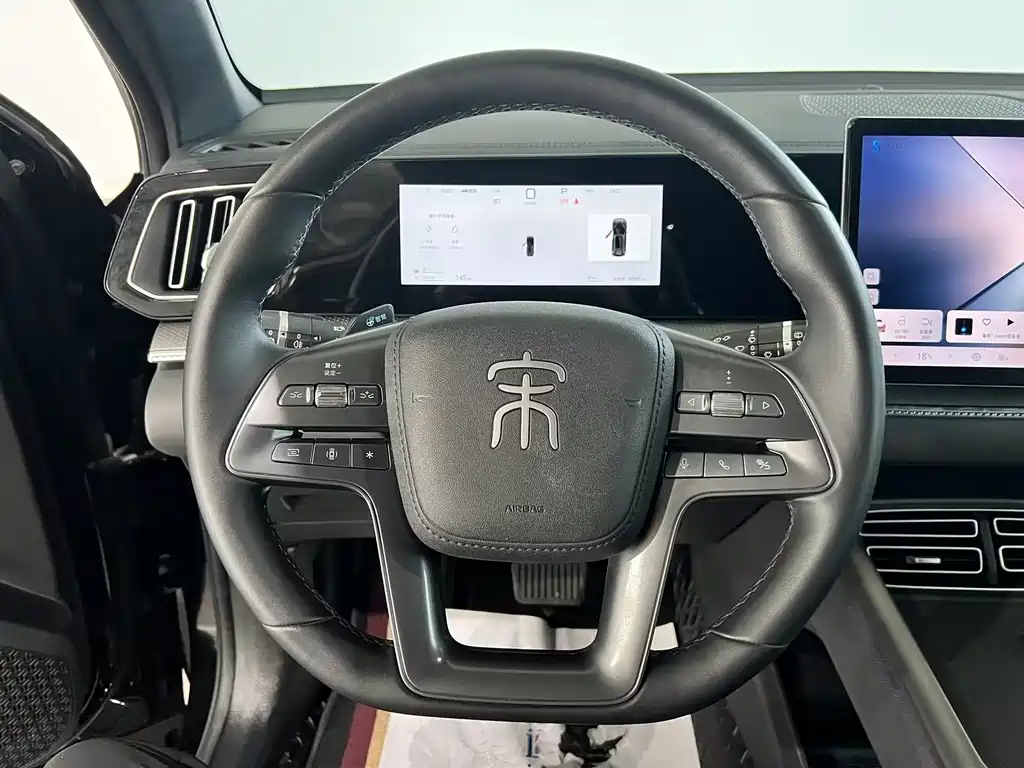 BYD Pro New Energy — миниатюра 24