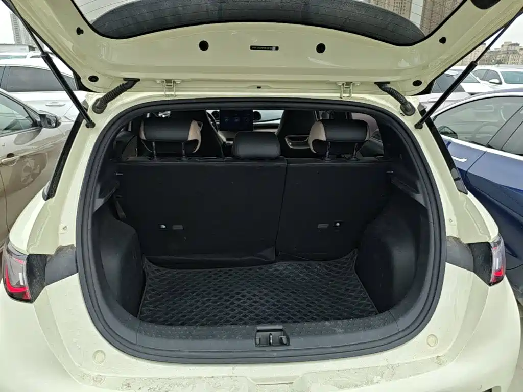 BYD Dolphin — миниатюра 19