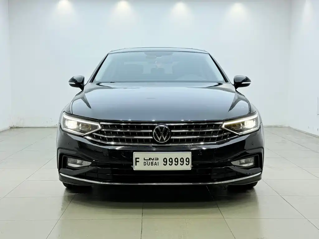 Volkswagen Magotan — миниатюра 2