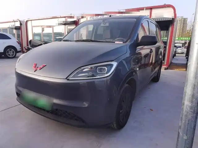 WULING AUTOMOBILE WULING HONGGUANG NEW ENERGY 2024