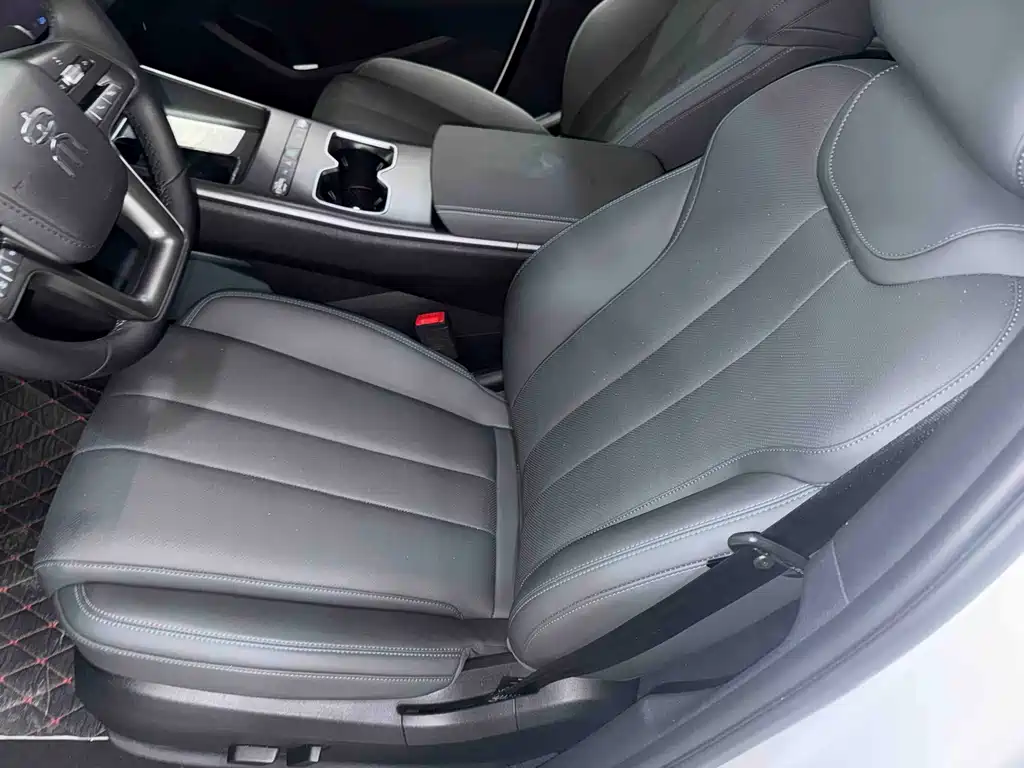 BYD Pro New Energy — миниатюра 7