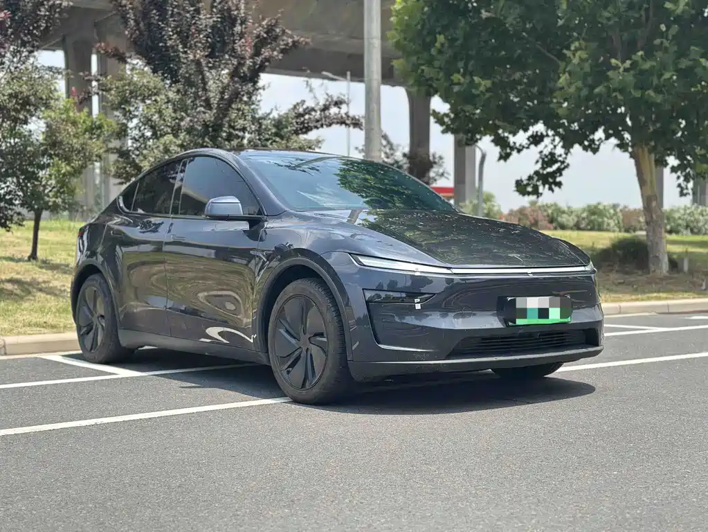 Tesla Model Y — миниатюра 3