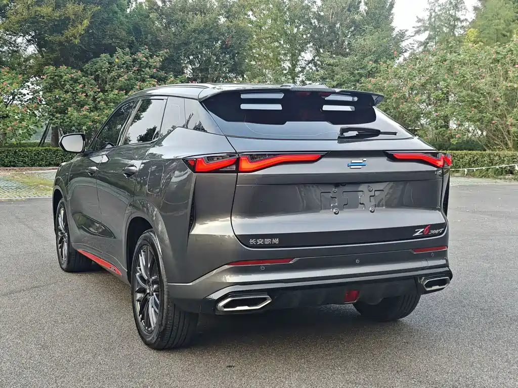 Oshan Oushang Z6 — миниатюра 14