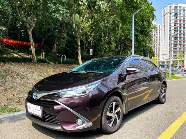 TOYOTA LEI LING 2017