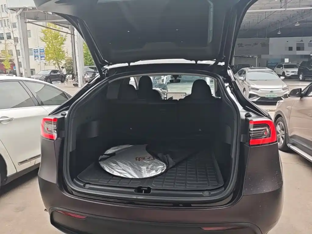Tesla Model Y — миниатюра 19
