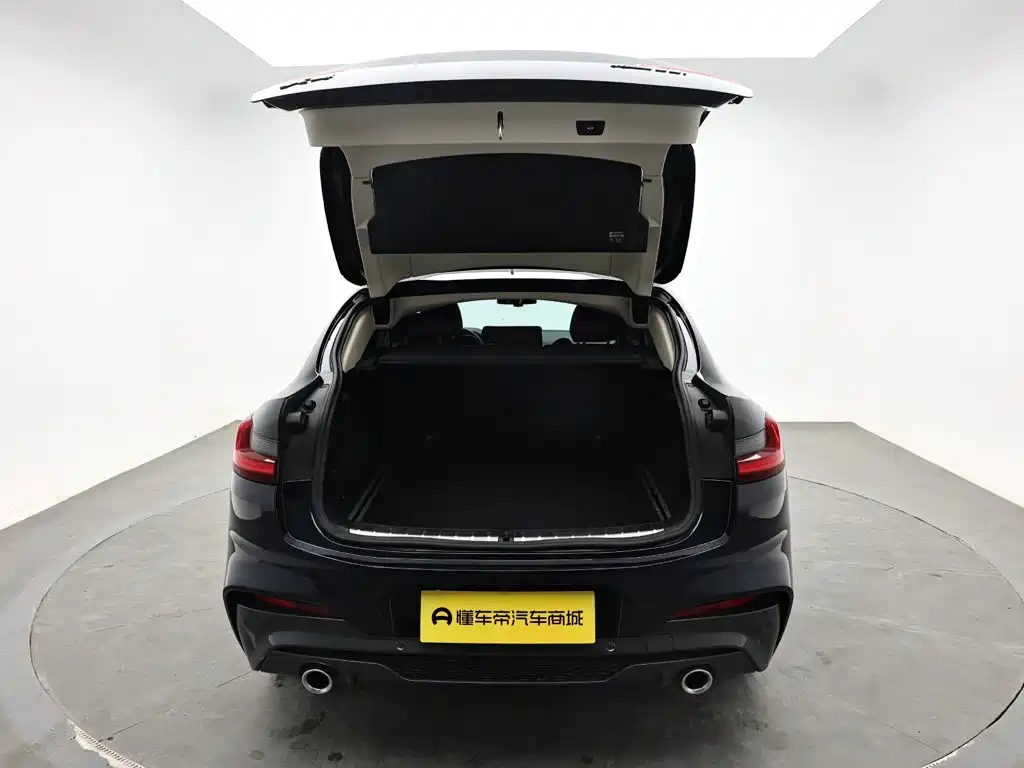 BMW X4 — миниатюра 8