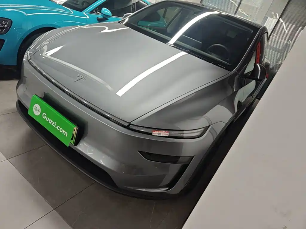 Tesla Model Y — миниатюра 2