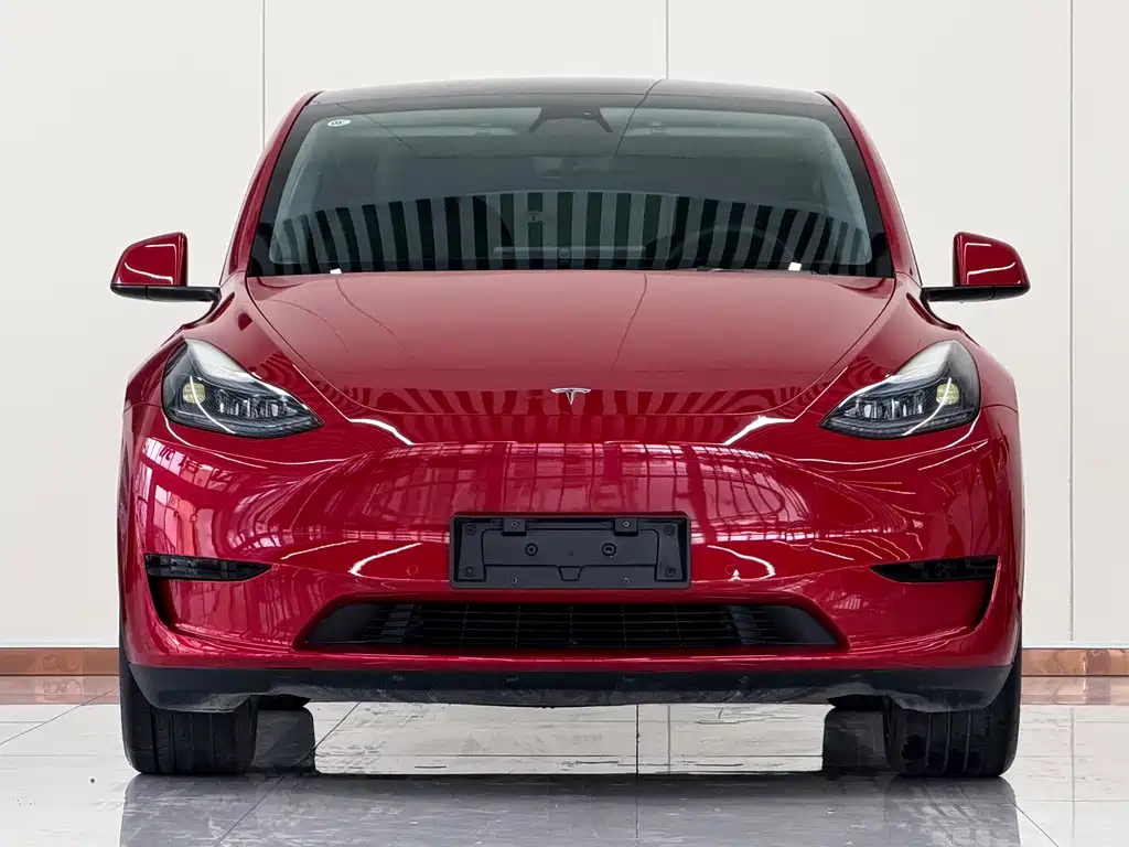 Tesla Model Y — миниатюра 2