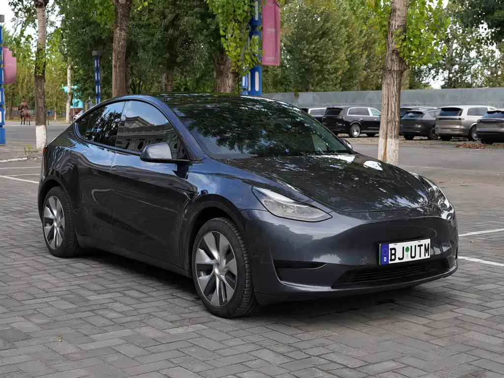 Tesla Model Y — миниатюра 3
