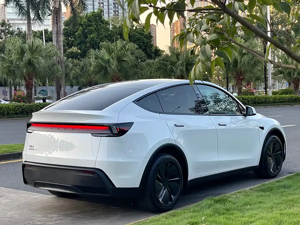 Tesla Model Y — миниатюра 11