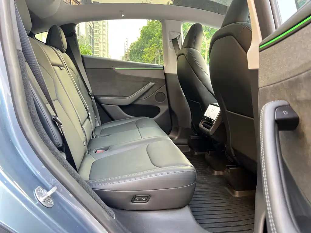 Tesla Model Y — миниатюра 19