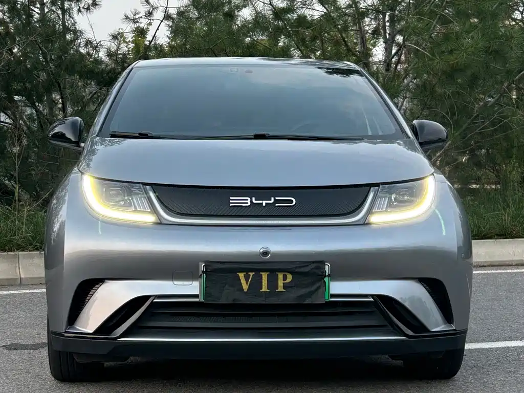 BYD Dolphin — миниатюра 2