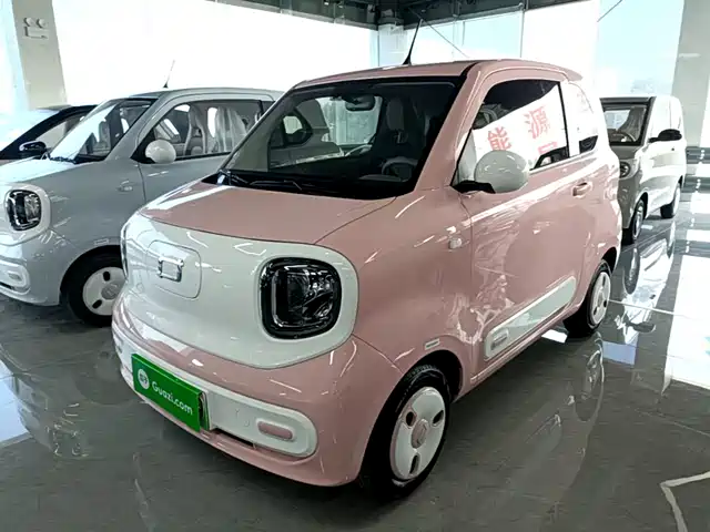 2024 Bestune Pony