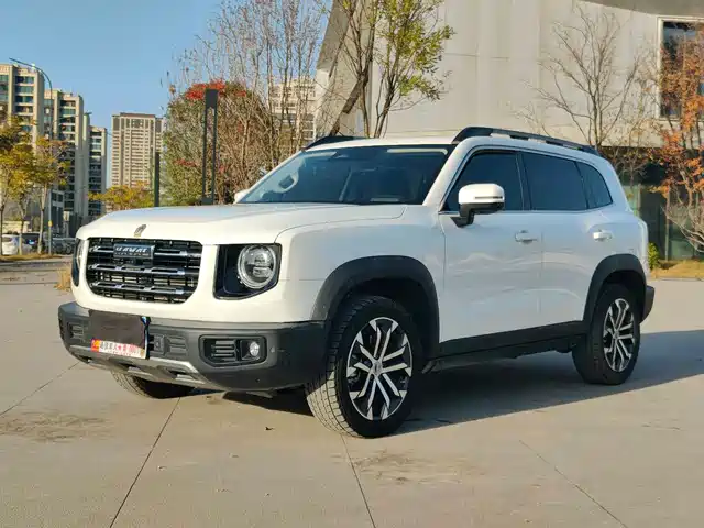 HAVAL BIG DOG