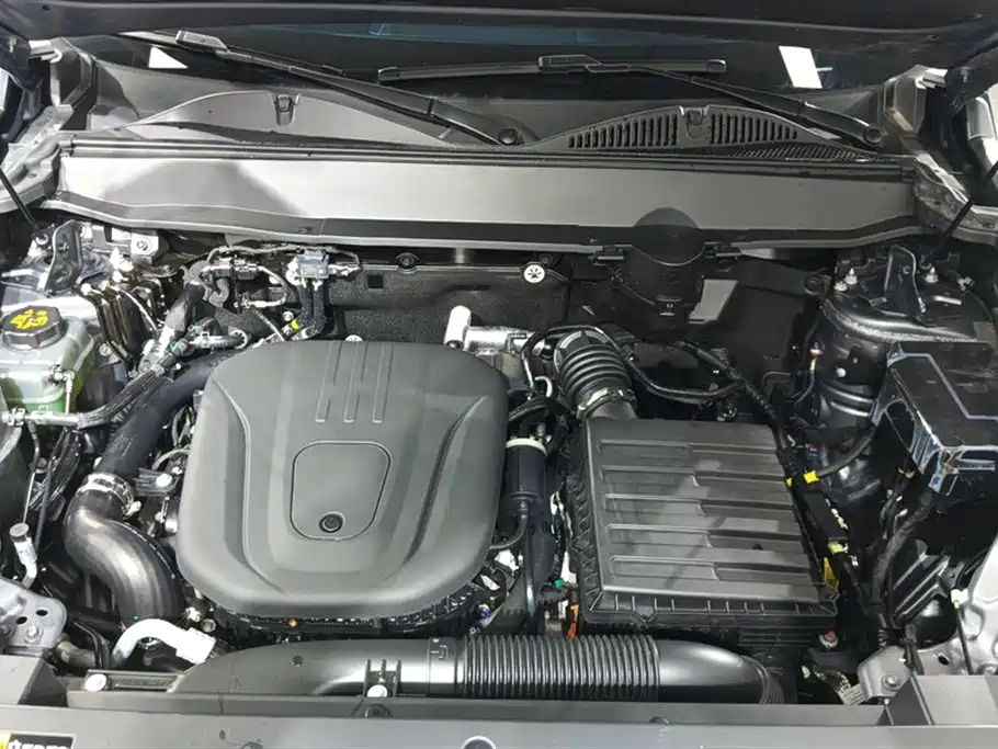 HAVAL RAPTORS NEW ENERGY